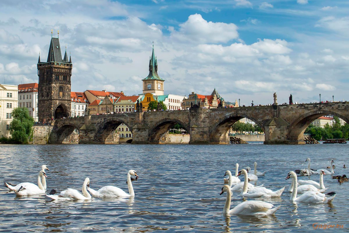 Карлов мост в Праге