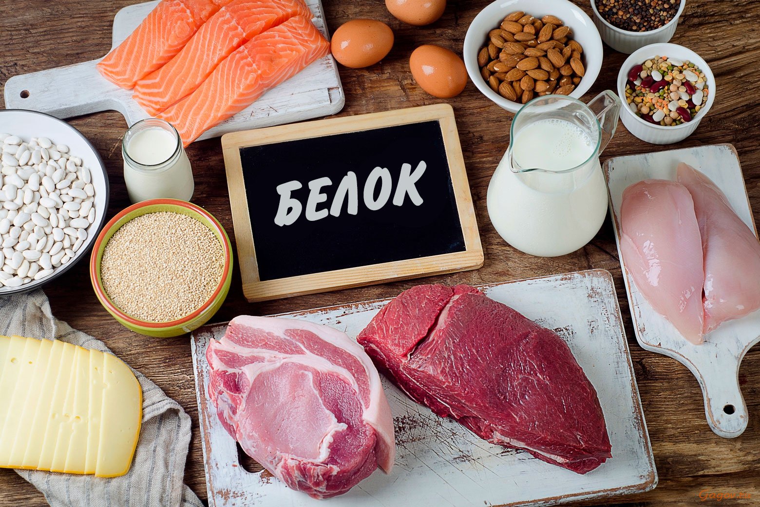 белковая диета